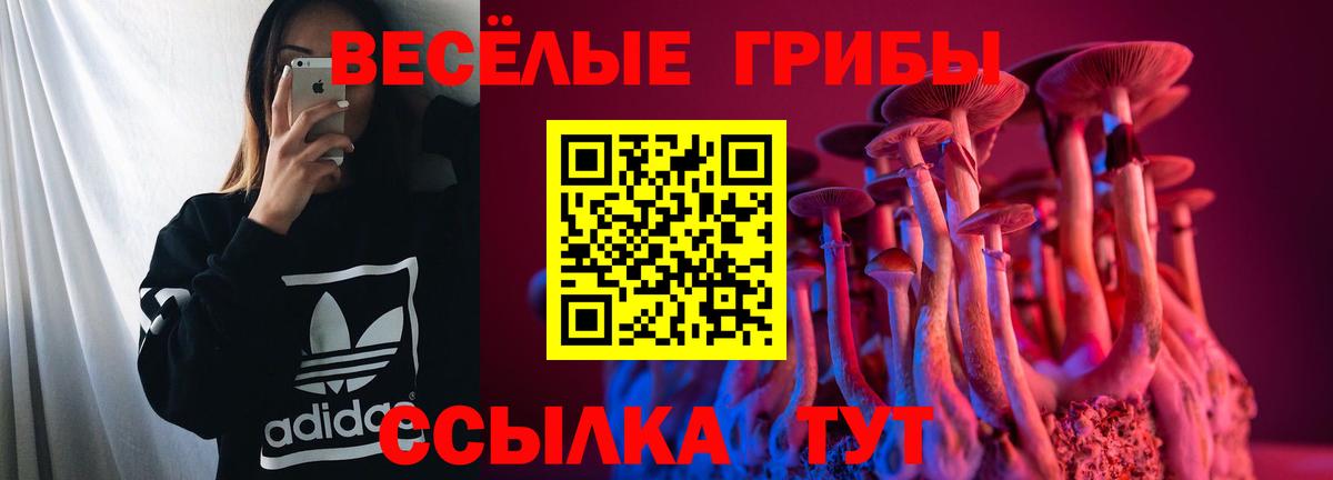 Псилоцибиновые грибы Psilocybine cubensis  Вход с VPN  Нефтекумск 